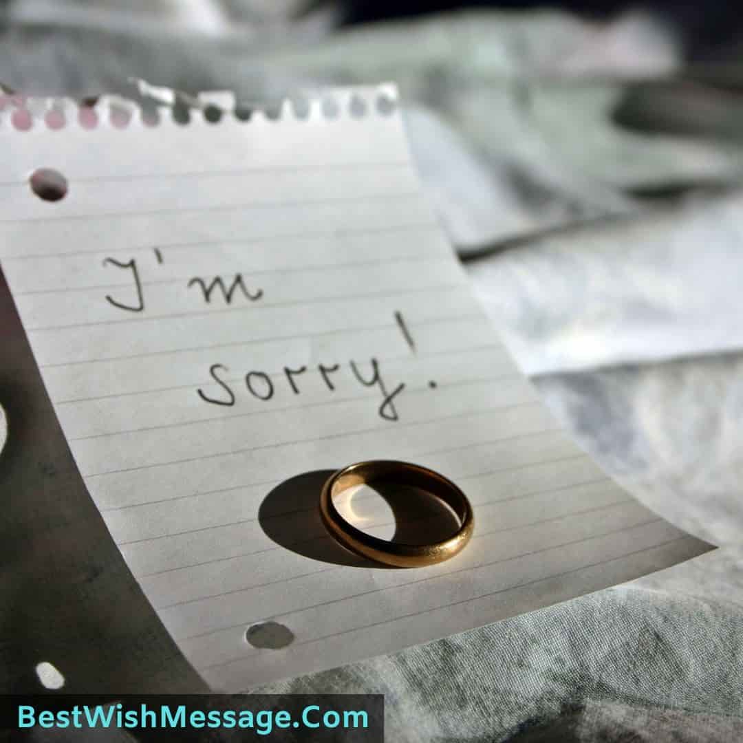 Sorry msg for gf