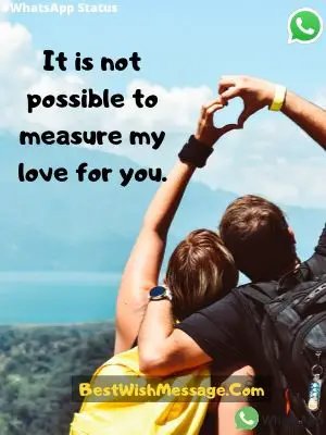 It is not possible to measure my love.