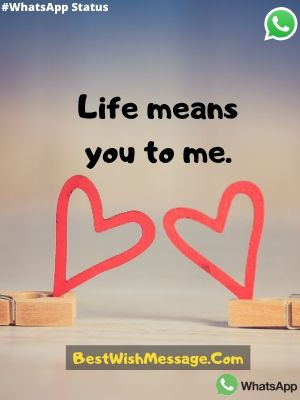 life means you to me.