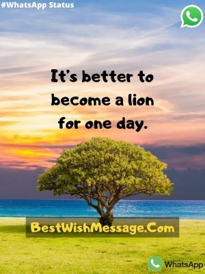 It's BETTER.