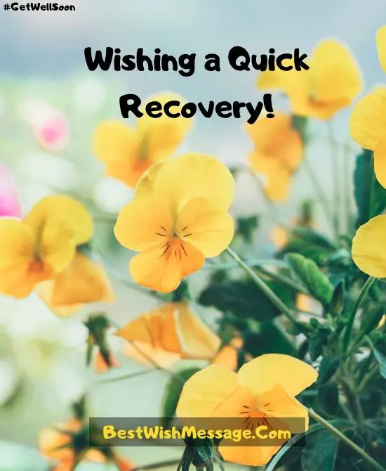 Quick Recovery Wishes After Accident