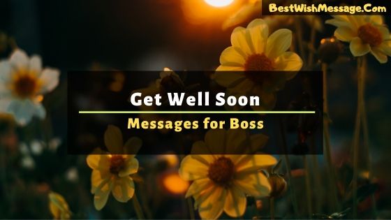 Get Well Soon Messages for Boss