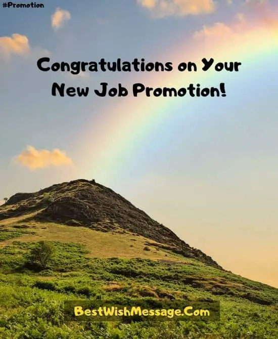 Congratulations on Job Promotion