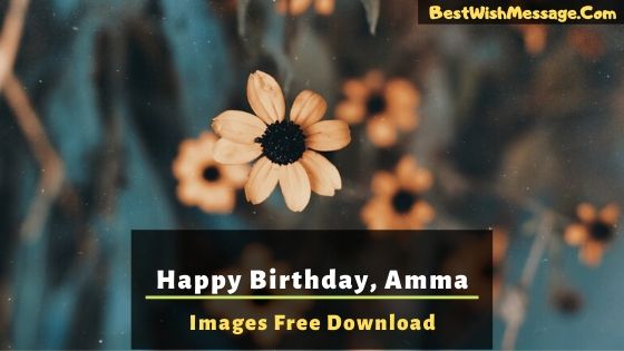 Happy Birthday Amma Images