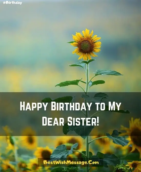 Happy Birthday Wishes for Elder Sister