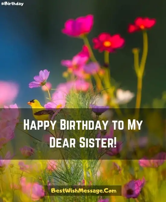 Birthday Wishes for Younger Sister