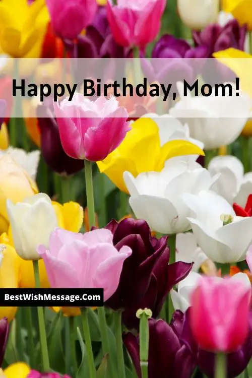 Happy Birthday Images for Mom