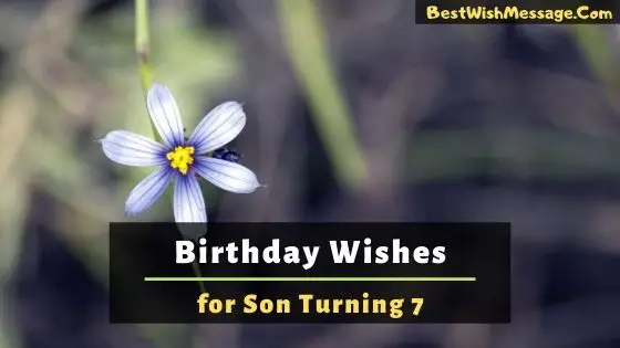 Birthday Wishes for Son Turning 7
