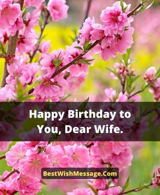 Romantic Birthday Messages for Your Wife