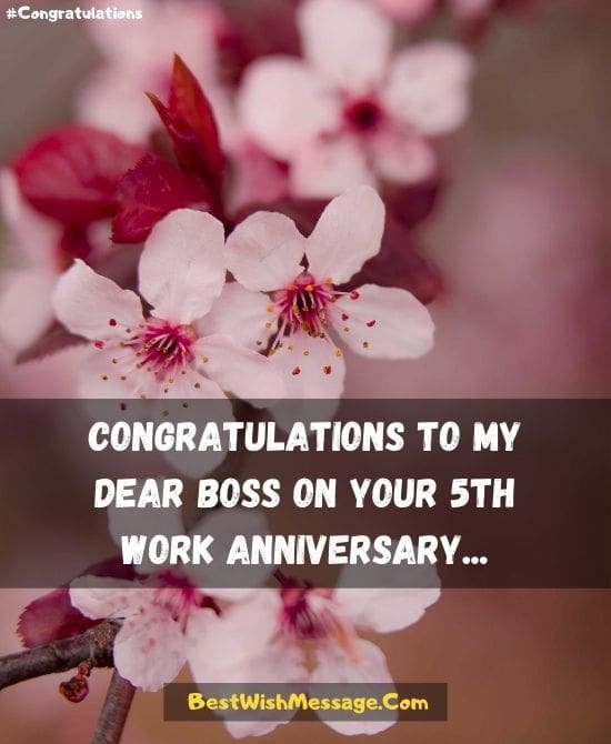 5 Year Work Anniversary Wishes for Boss