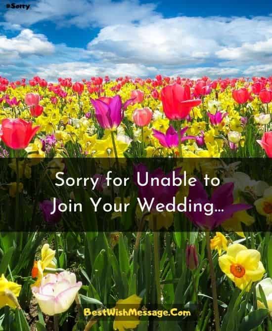 Sorry Messages for Not Attending Wedding