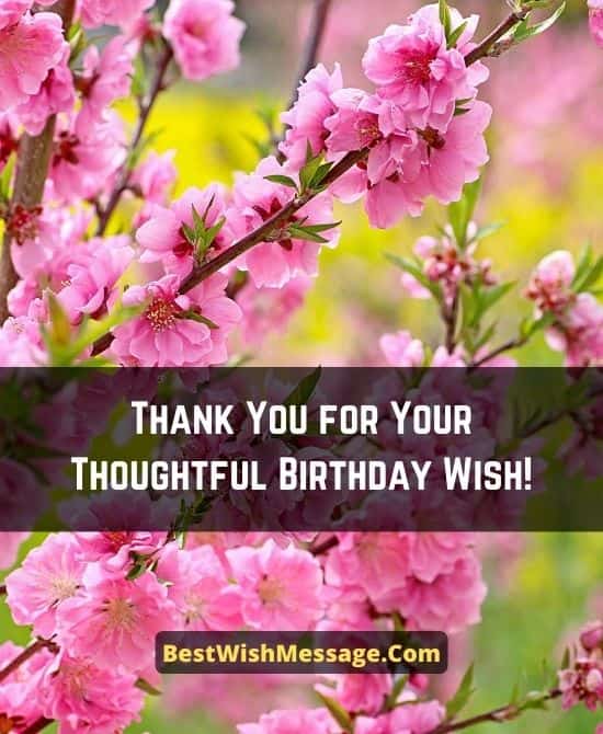 70+ Emotional Thank You Messages for Birthday Wishes for All