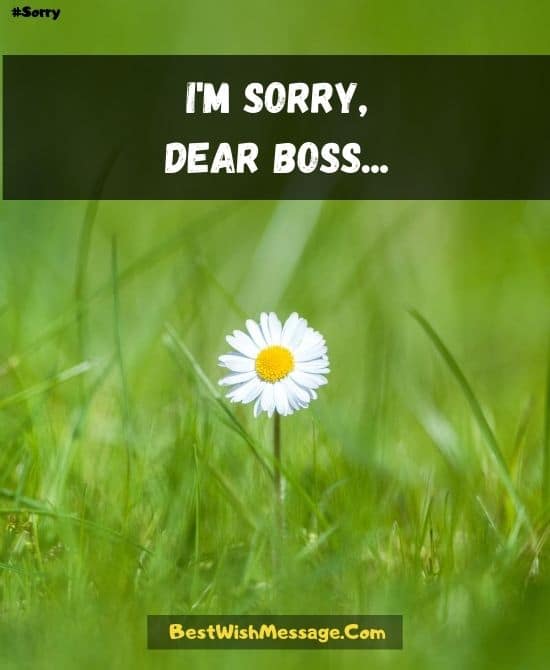 Professional Sorry Messages for Boss