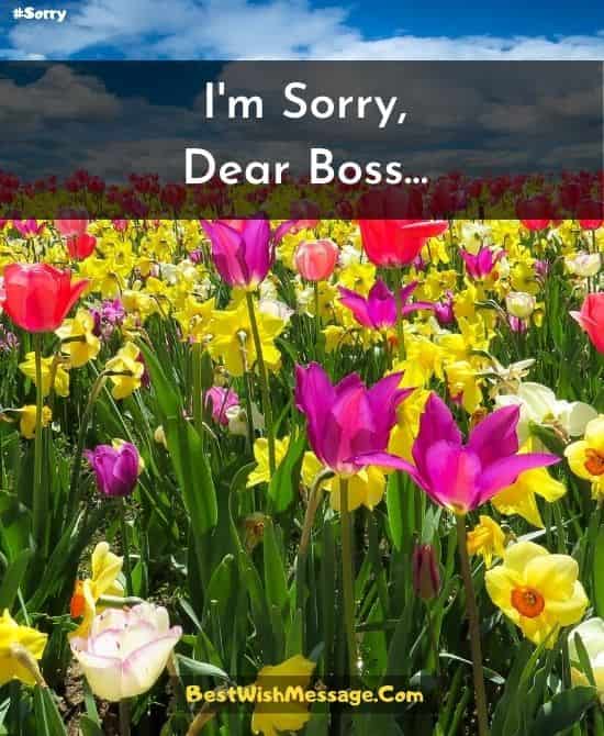 Apology Text Messages for Boss