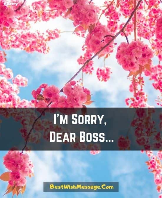 Apology SMS to Boss for Misbehavior