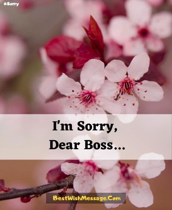 Sorry Letter to Boss for Absence