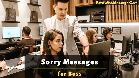 sorry messages for boss