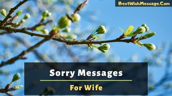 Sorry Messages for Wife