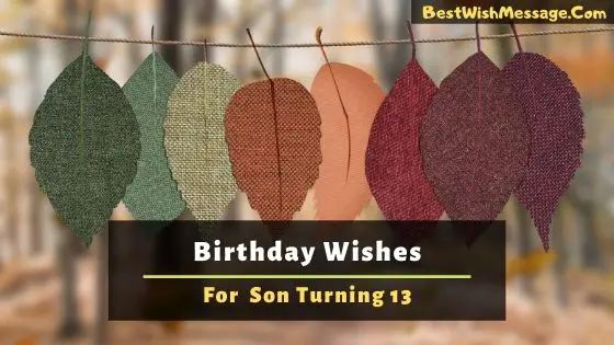 Birthday Wishes for Son Turning 13