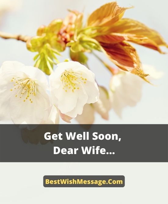 Get Well Soon, Wife