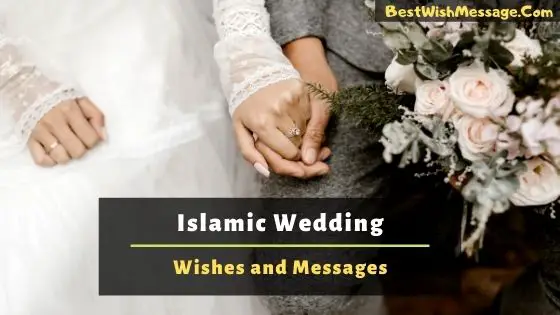 Islamic wedding wishes and messages are here for you. 