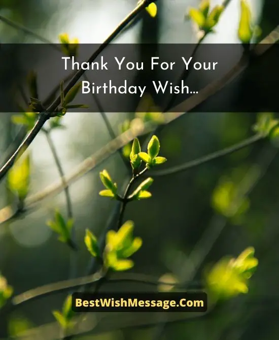 Thank You Message for Birthday Wishes to Your Best Friend