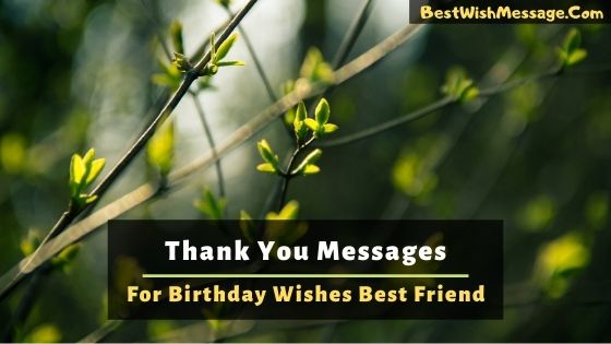 Thank You Message for Birthday Wishes to Your Best Friend