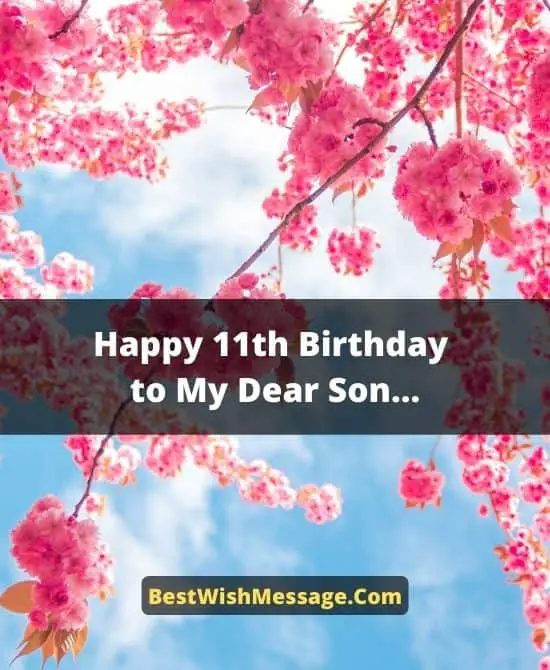 11th Birthday Wishes for Son