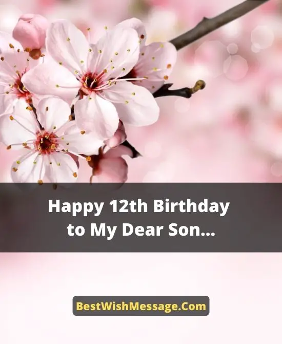 12th Birthday Wishes for Son