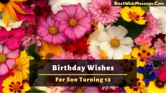 birthday wishes for son turning 12