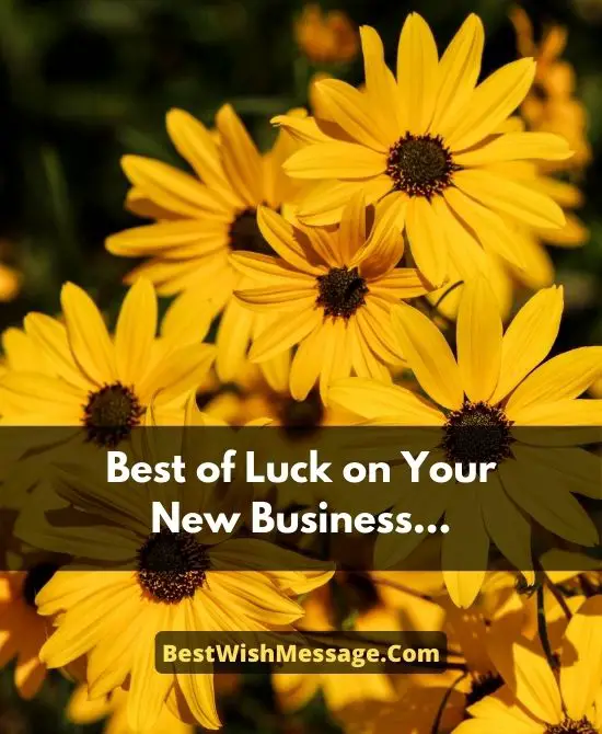 Best Wishes for Business Success
