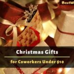 Christmas Gift Ideas for Coworkers Under $10