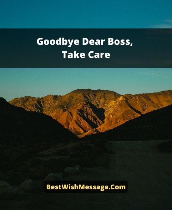 Farewell Wishes To Boss When Leaving