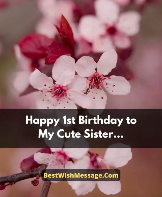 Heartwarming 1st Birthday Wishes for Little Sister