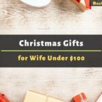 Christmas Gifts for Wife Under $100