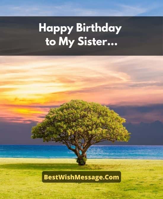 Inspirational Birthday Wishes for Sister