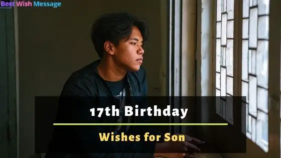 17th Birthday Wishes for Son