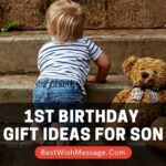1st Birthday Gift Ideas for Son