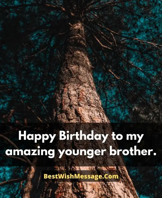 Heart Touching Birthday Wishes for Younger Brother from Sister