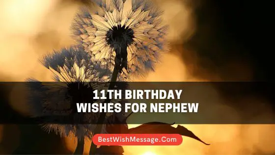 11th Birthday Wishes for Nephew