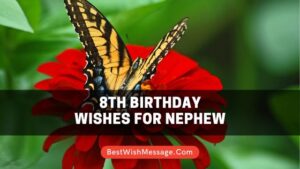 8th Birthday Wishes for Nephew