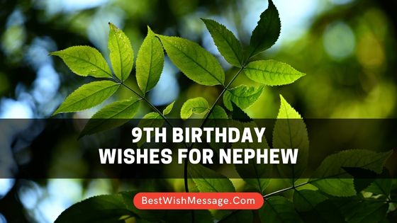 9th Birthday Wishes for Nephew