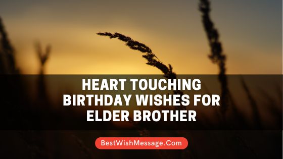 Heart Touching Birthday Wishes for Elder Brother