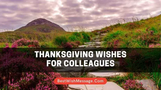 thanksgiving wishes for colleague