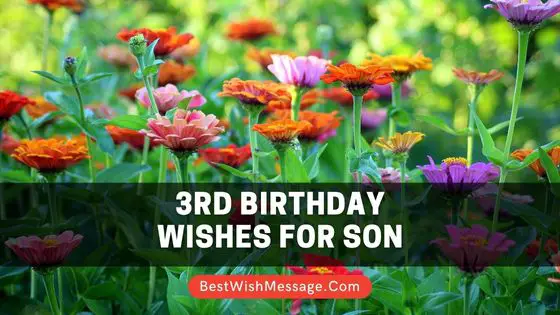 3rd Birthday Wishes for Son