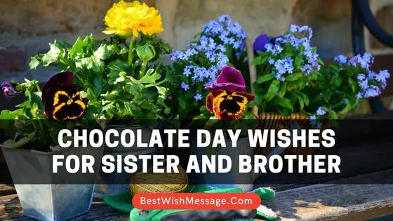 Chocolate Day Wishes for Sister and Brother