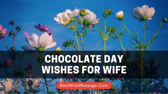 Chocolate Day Wishes for Wife