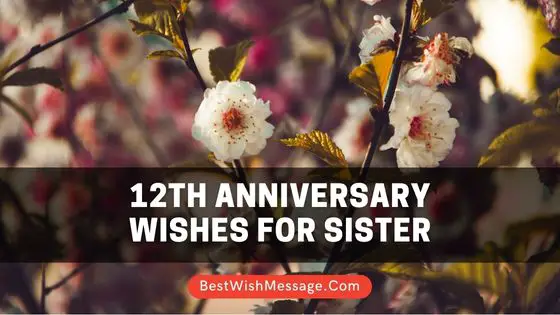 12th Wedding Anniversary Wishes for Sister