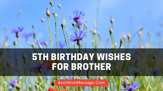 5th Birthday Wishes for Brother