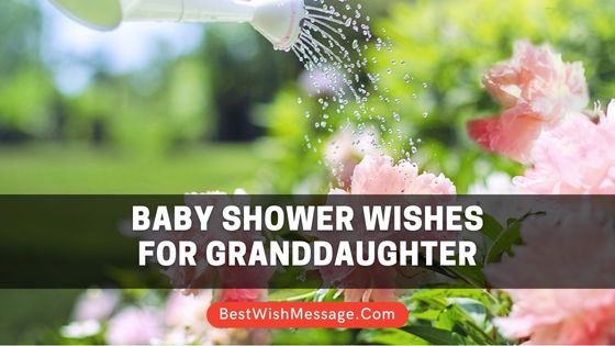 Baby Shower Wishes for Granddaughter